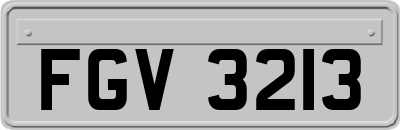 FGV3213