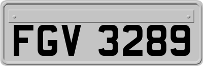 FGV3289