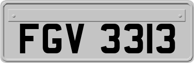 FGV3313