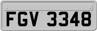 FGV3348