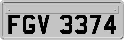 FGV3374