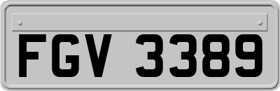 FGV3389