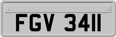 FGV3411