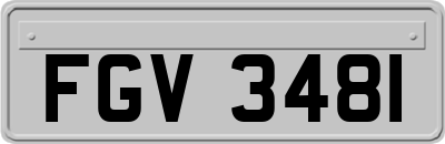 FGV3481