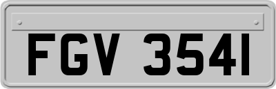 FGV3541