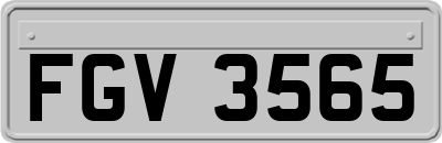 FGV3565
