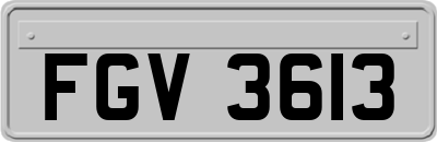 FGV3613