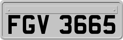 FGV3665