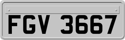 FGV3667