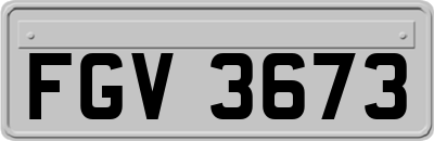 FGV3673