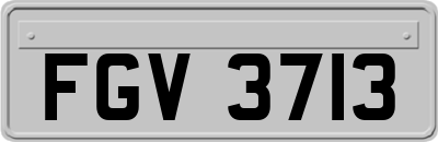 FGV3713