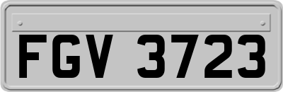 FGV3723