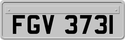 FGV3731