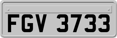 FGV3733