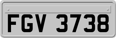 FGV3738