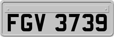 FGV3739
