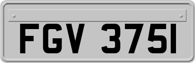 FGV3751