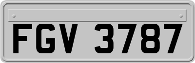 FGV3787