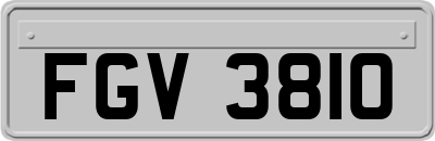 FGV3810