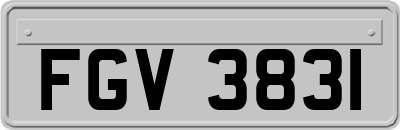 FGV3831