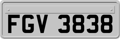 FGV3838
