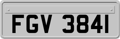 FGV3841