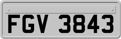 FGV3843