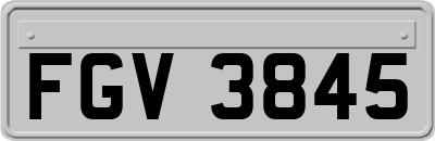 FGV3845
