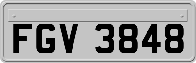 FGV3848