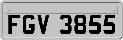 FGV3855