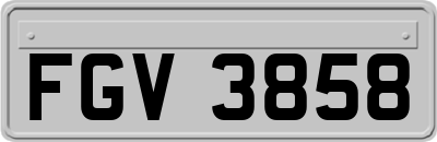 FGV3858