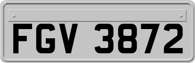 FGV3872