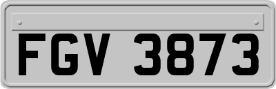 FGV3873