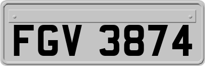 FGV3874