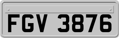 FGV3876