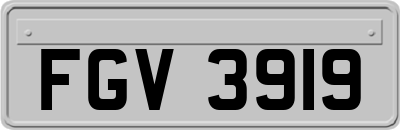 FGV3919