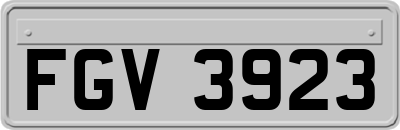 FGV3923