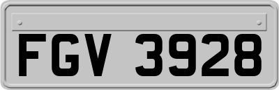 FGV3928
