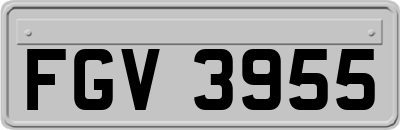 FGV3955