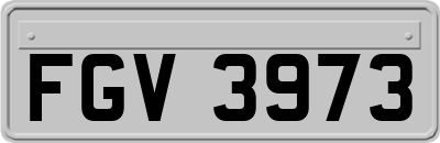 FGV3973