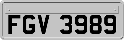 FGV3989