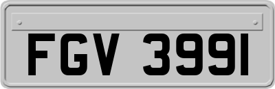 FGV3991