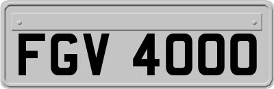 FGV4000