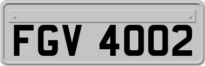 FGV4002