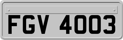 FGV4003