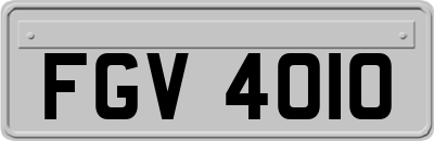 FGV4010