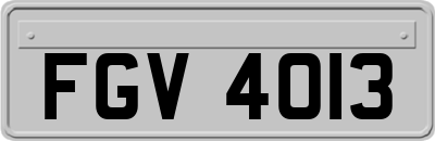 FGV4013