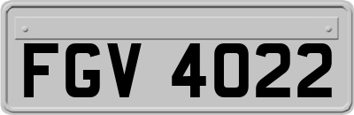 FGV4022