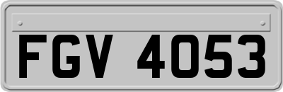 FGV4053