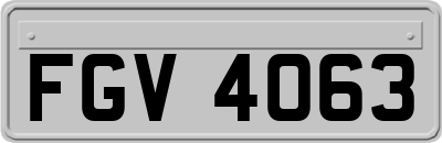 FGV4063